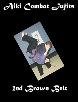 Aiki Combat Jujits 2nd Brown Belt